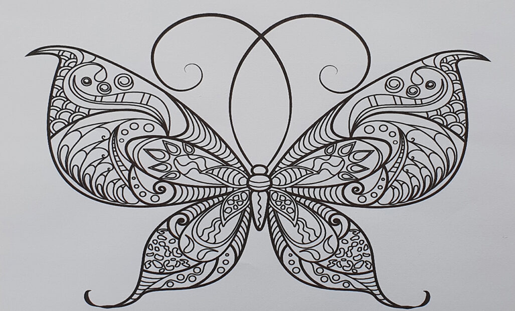 Day 11 – Colouring a Butterfly