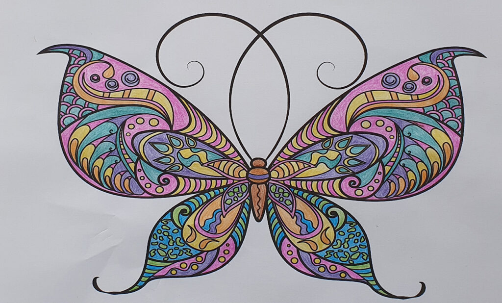 Butterfly SD Coloured