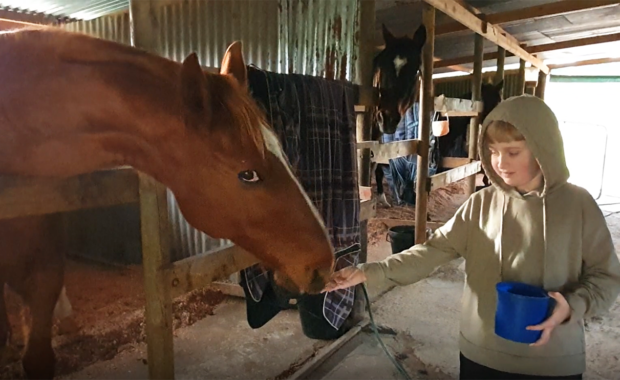 Horse Therapy – Our Experience